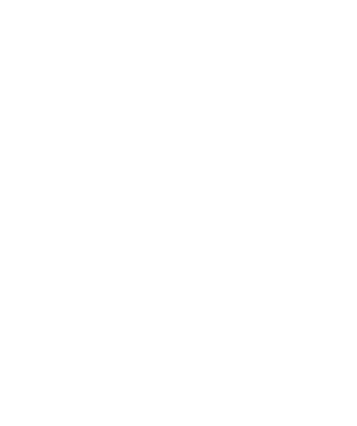 Sharp-Designs wolf logo